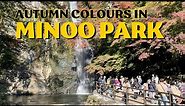 Osaka side trip 🇯🇵: Minoo Park | Japan’s top 100 waterfall Minoo Falls | Osaka Japan travel vlog