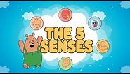 The Five Senses For Kids | Human Senses | Science Year 1| Educational Video | #PantsBear