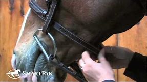 How to Fit a Bridle
