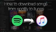 How to download songs from Spotify to Itunes