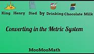 Converting in the Metric System