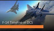 CVW-11 Tutorials: Simple F-14 BVR Timeline