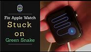 Fix Apple Watch Stuck on Green/Red Snake Screen of Death | Apple Watch not Charging Solved