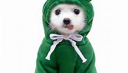 frog hoodies coat