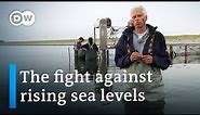Climate change in the Netherlands - Pioneering coastal management | DW Documentary