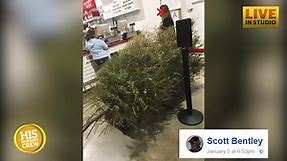 Woman Returns Costco Christmas Tree on Jan 4, Gets Refund