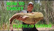Where To Find Flathead Catfish And What Rigs to Use To Catch Them