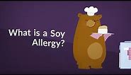 What is a Soy Allergy? (Symptoms, Causes, Treatment, Prevention)