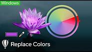 Replace Colors | Corel PHOTO-PAINT for Windows