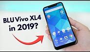 BLU Vivo XL4 in 2019 - Is it Worth Buying?