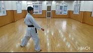 White Belt kata for beginner of Shito -Ryu Karate