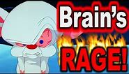 Brain's Rage! - Pinky & The Brain