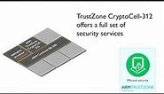ARM TrustZone CryptoCell-312