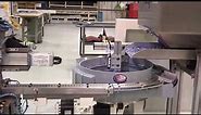 Automated Insert Molding Machine by Pro Systems