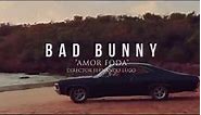 Bad Bunny’s Heart Is Broken in ‘Amorfoda’: See the English Translation