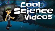 Cool Science Videos for Kids