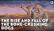 The Rise and Fall of the Bone-Crushing Dogs