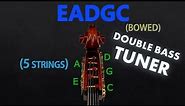5 String Double Bass - EADGc Tuning (BOWED) (Tuner)