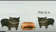 This is a. hamburger
