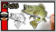How to Draw a LARGEMOUTH BASS