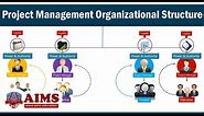 Project Management Organizational Structure - 3 Types: Functional, Matrix & Projectized | AIMS UK