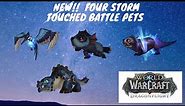 Four NEW Storm Touched Battle Pets to Tame!!