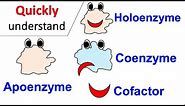Cofactors | Coenzymes | Holoenzyme | Apoenzyme