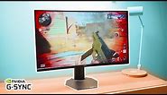 Dell 27 Curved Gaming Monitor Review S2721HGF | So Cheap for PC PS5 XBOX High Refresh Gaming