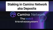 Camino Network Staking Guide: Multiply Your Crypto with Smart Deposits!
