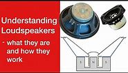 Understanding Loudspeakers: what they are, how they work #loudspeaker #speaker