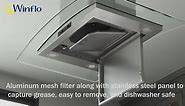 Winflo 30 in. Convertible Island Mount Range Hood in Stainless Steel and Glass with Mesh Filter and Stainless Steel Panel IR001C30SR