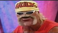 (YTP) The Ultimate Hogan