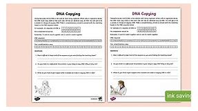 DNA Copying Activity