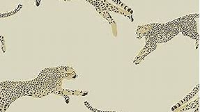 Scalamandre Dune Leaping Cheetah Peel & Stick Wallpaper Neutral
