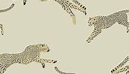 Scalamandre Dune Leaping Cheetah Peel & Stick Wallpaper Neutral