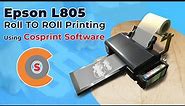 Epson L1800 Roll to Roll DTF Printing