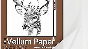 Translucent Vellum Paper, Oplymio 50 Sheets 102GSM Printable Vellum Paper, Transparent Paper for Card Inserts, Invitations, Envelope, Belly Bands, Tracing(8.5 x 11 Inches)