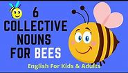 6 Collective Nouns For Bees - For Kids & Adults - English Language Help