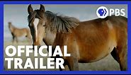 American Horses | Official Trailer | NATURE | PBS