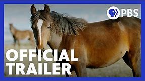 American Horses | Official Trailer | NATURE | PBS