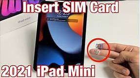 iPad Mini (6th Gen): How to Insert SIM Card & Check Mobile Settings