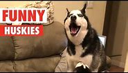 10 Funny Huskies Video Compilation 2017 | Breed All About It