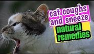 Common Cold in Cats-Coughs and Sneeze|All Natural Remedies
