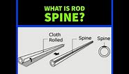 What is fishing rod spine?