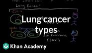Lung cancer types | Respiratory system diseases | NCLEX-RN | Khan Academy