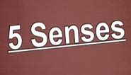 5 Senses Song | The 5 Senses | 5 Sense for Kids | Jack Hartmann