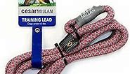 Cesar Millan Slip Lead Leash™ - 2-in-1 Slip Collar Dog Training Lead & Collar | Heavy Duty Durable Weatherproof Rope Leash, No Pull Training | Length 4ft Diameter 4/10”(Regular, Pink/Grey)