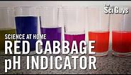 The Sci Guys: Science at Home - SE2 - EP4: Red Cabbage pH Indicator - Acid Base Indicator