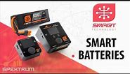 Learn more about the Spektrum Smart Batteries - Spektrum Smart Technology