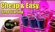 Cheap & Easy Seed Starting Pots Using Plastic Cups